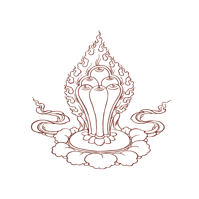 ݿ(Ρku)ٷվ