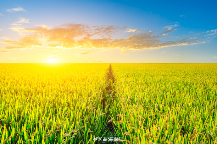 ���ݿ���(���Ρ�ku��)�ٷ���վ