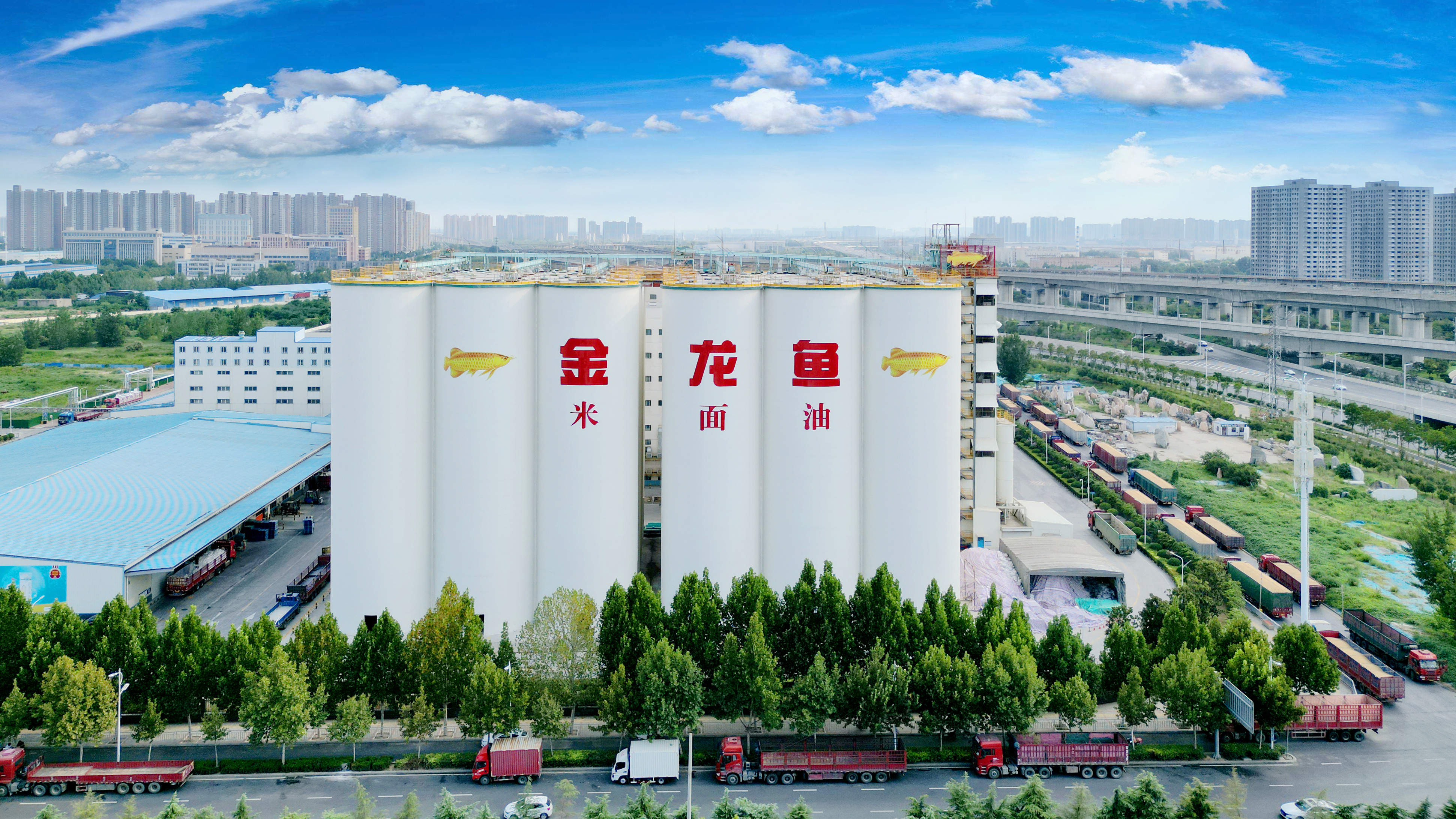 ¾ÅÖÝ¿áÓÎ(¿áÓΡ¤kuÓÎ)¹Ù·½ÍøÕ¾